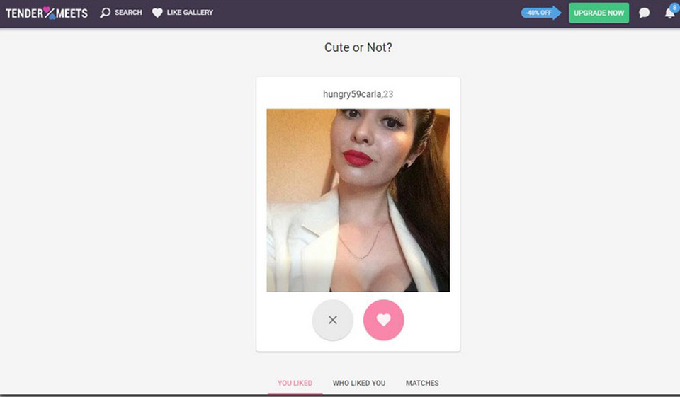 ¿Cómo funciona TenderMeets?
